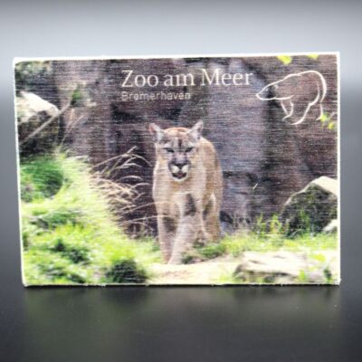 Holzmagnet „Zoo am Meer Bremerhaven" - Puma