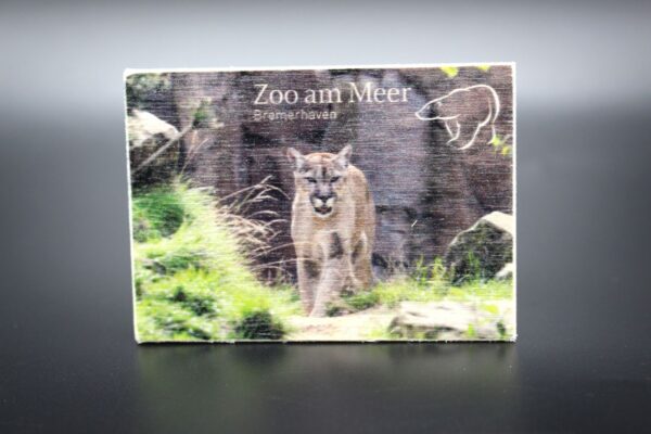 Holzmagnet „Zoo am Meer Bremerhaven" - Puma