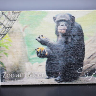Holzmagnet „Zoo am Meer Bremerhaven" - Dumas